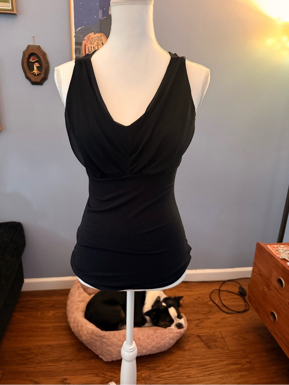 Express Black V-Neck Ruched Tank Top